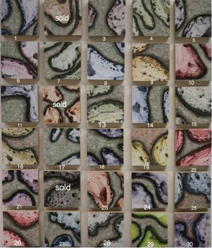 12341481_10153470097578743_1078449890750001643_n