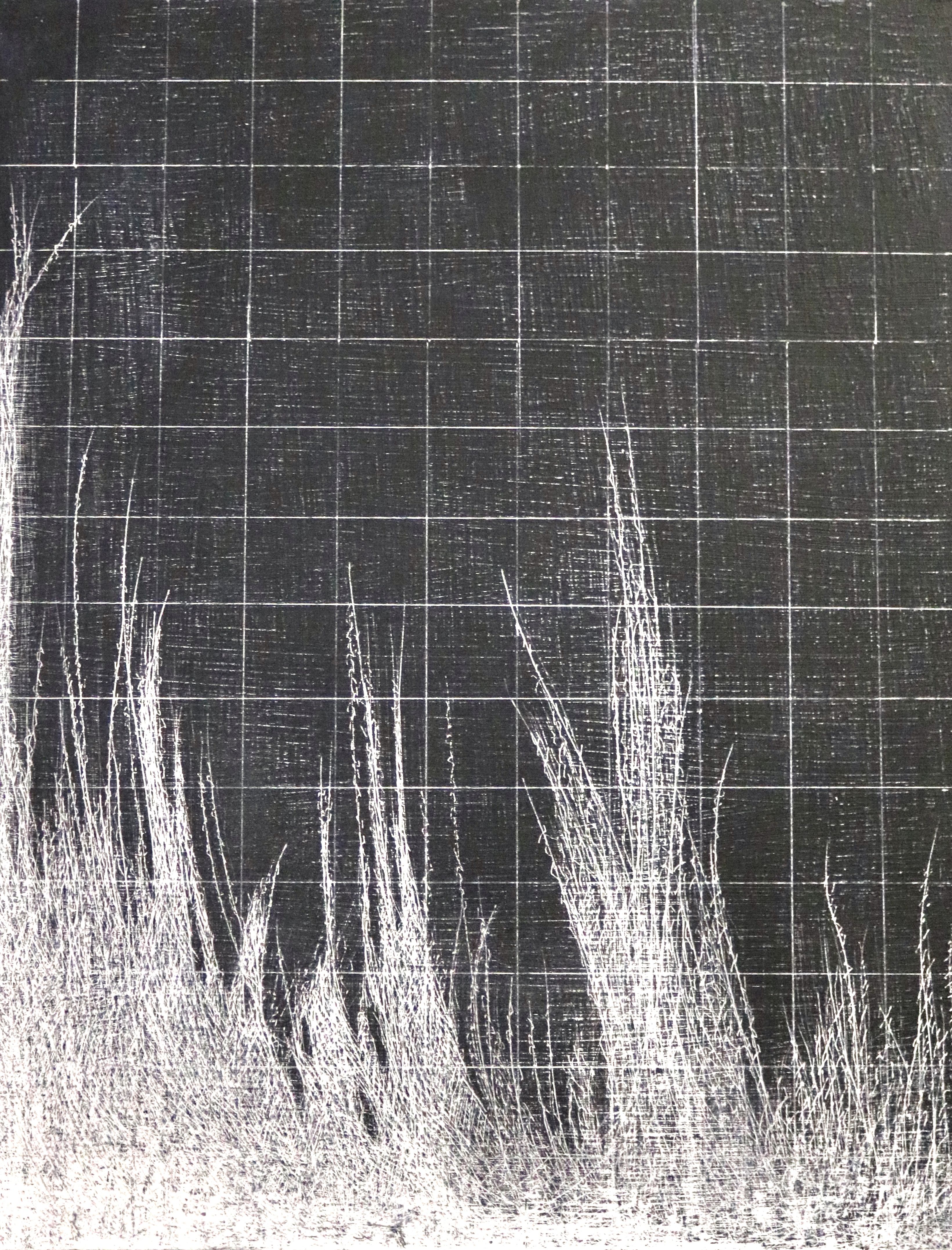 10765410176_IMG_1245